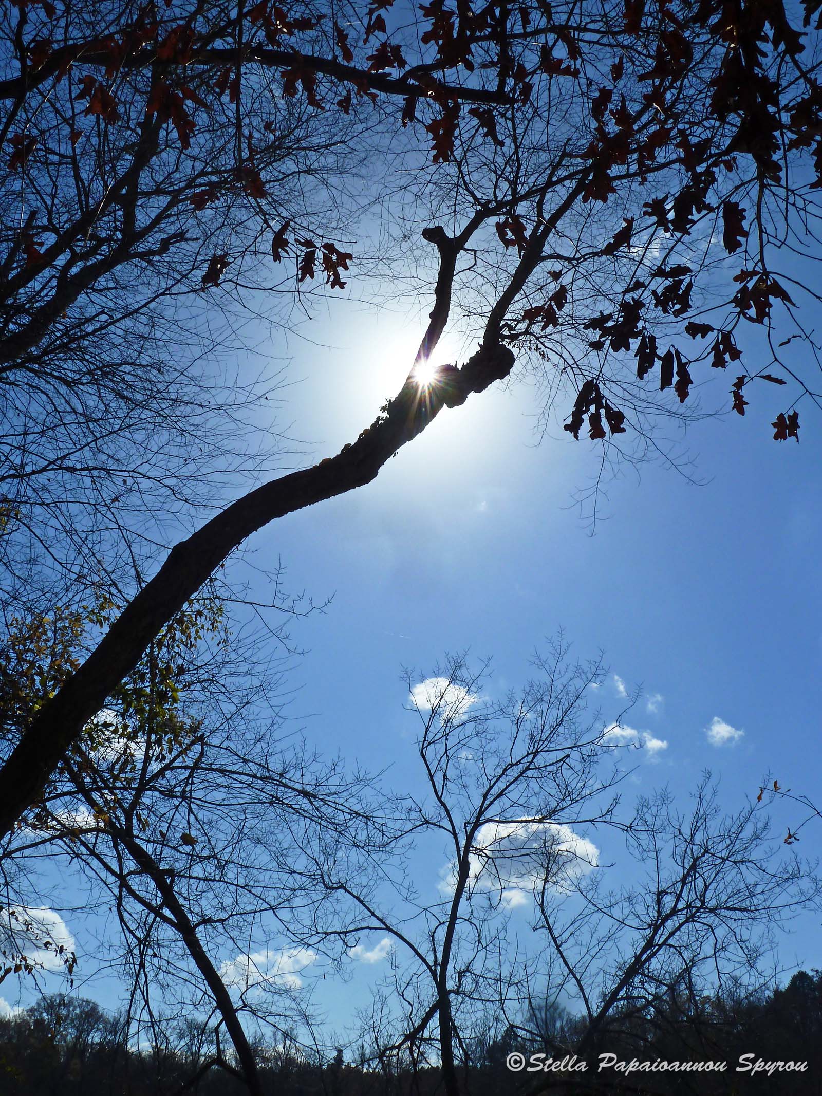 Shiny Sun